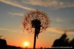 sonnenuntergangsstimmung