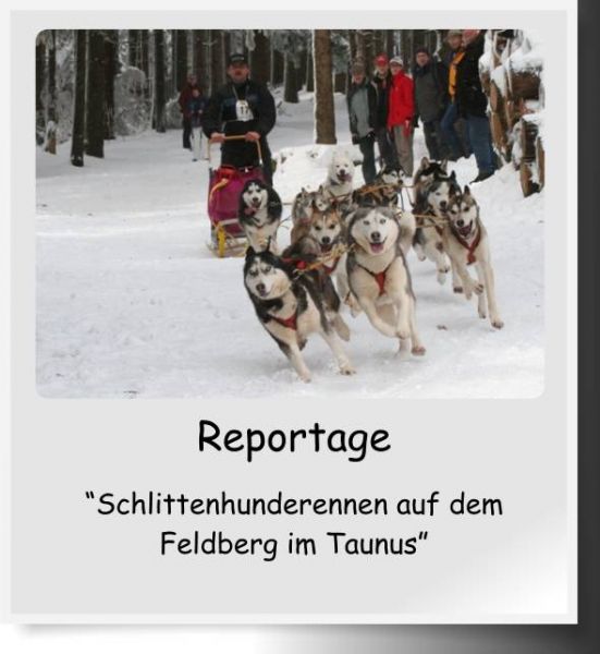 Reportagen