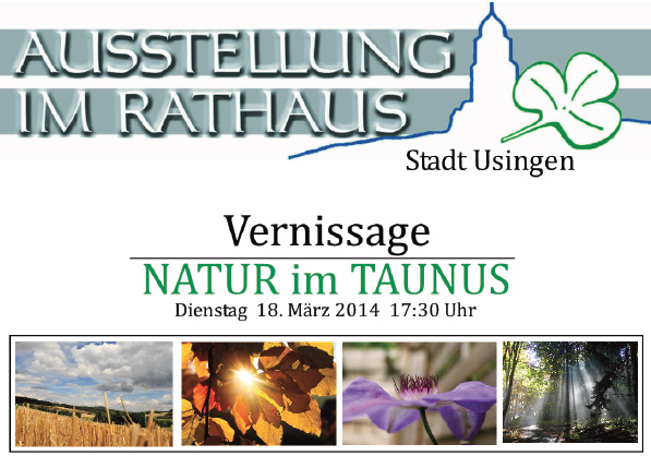 Vernissage